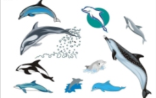 精选CorelDARW海洋生物矢量图-海豚图片