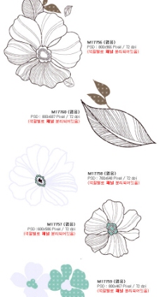 韩国时尚华丽花纹系列图片