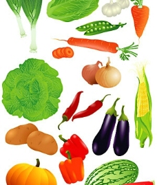 蔬菜瓜果矢量素材图片