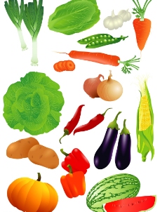 矢量蔬菜瓜果图片