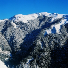 冬天雪景0020
