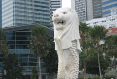 新加坡狮子图片