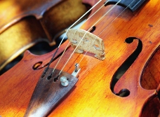 小提琴0025