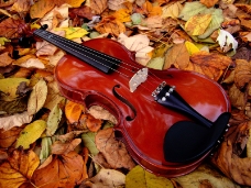 小提琴0071