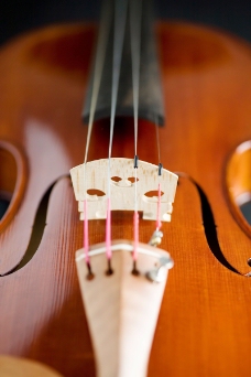 小提琴0047