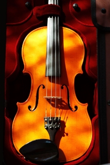 小提琴0028