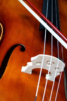 小提琴0035
