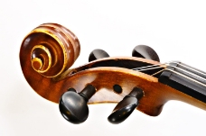 小提琴0036