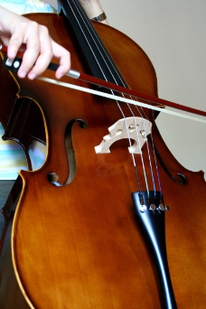 小提琴0040