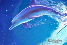 梦幻插画-海豚躍出水面图片