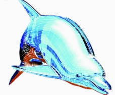 水晶海豚图片