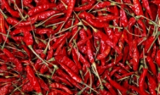 红色的辣椒图片