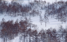 雪景素材，高精度摄影照片图片