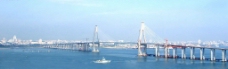 大桥全景图片