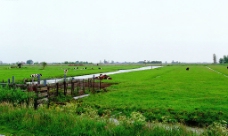 比利时牧场图片