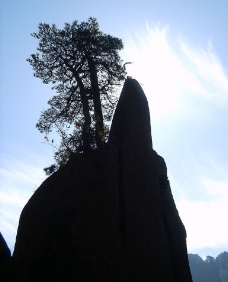 黄山风光图片