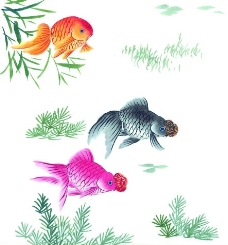 水墨画 红黄黑金鱼图片