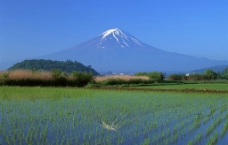 田园风景图片